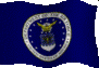 U.S. Air Force Flag waving and Link to Website